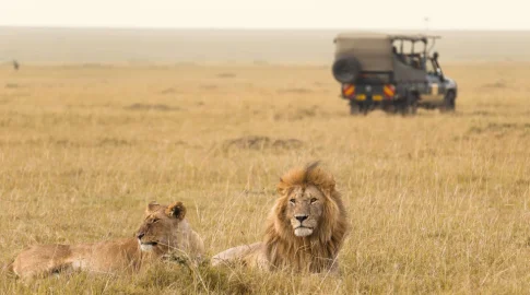 Kenya Luxury Safari