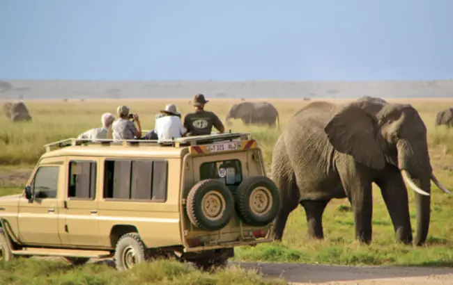 Nairobi - Amboseli