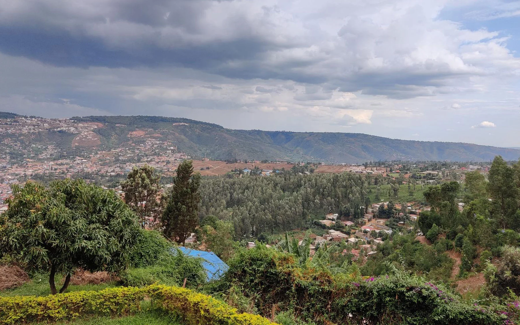 Kigali  Wildlife