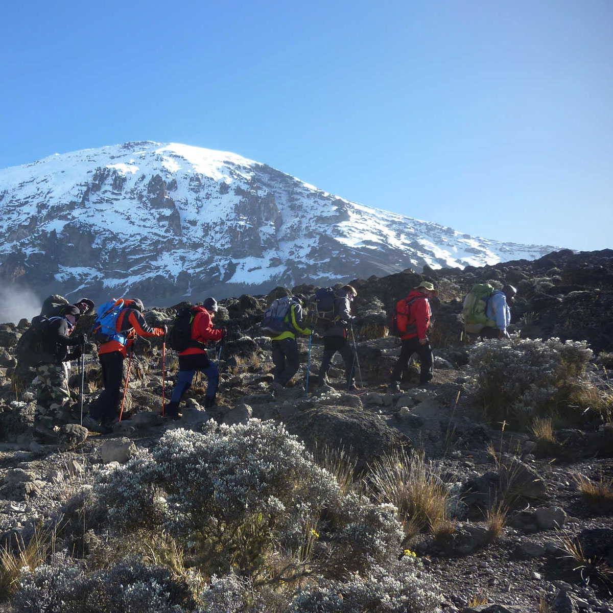 Mount Kilimanjaro Climbing