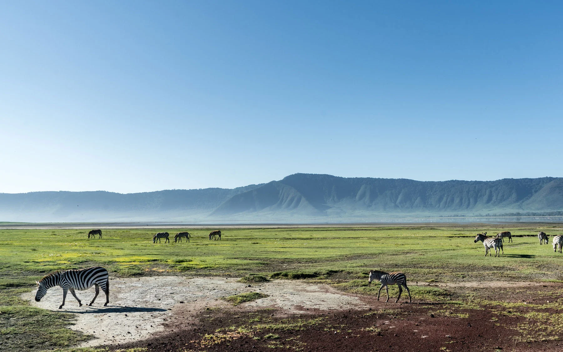 Ngorongoro Wildlife