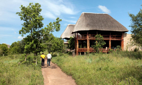 Bwindi Gorilla Tracking & Visit charming Community/Village.