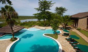Entebbe –Murchison Falls National Park via Ziwa Rhino.