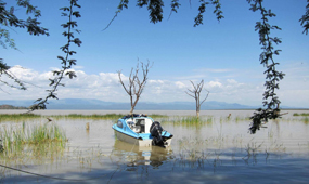 Naivasha - Nakuru game park
