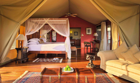 Nairobi City Tour & Wildlife Encounters