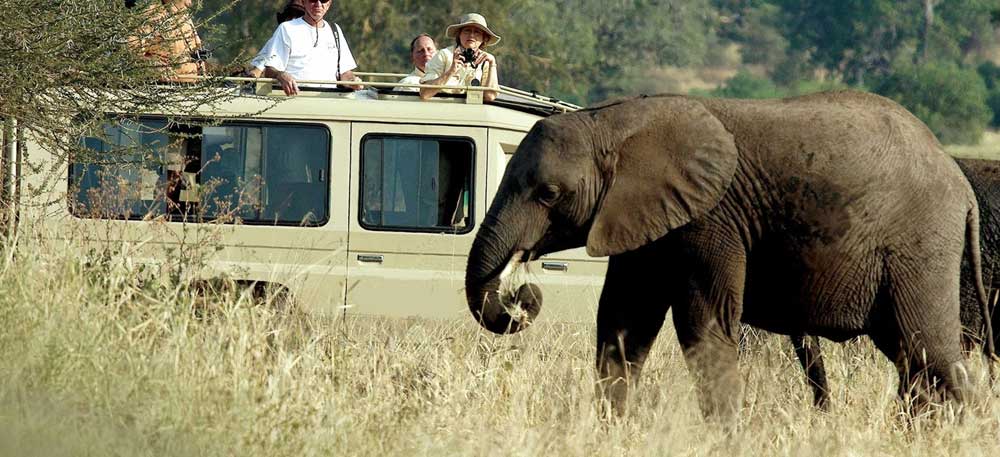 Maasai Mara Game Reserve -Afternoon Game drive