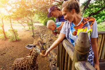 Nairobi City Tour & Wildlife Encounters