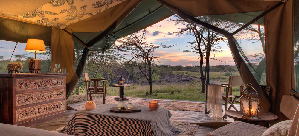 Full-Day Safari in Masai Mara