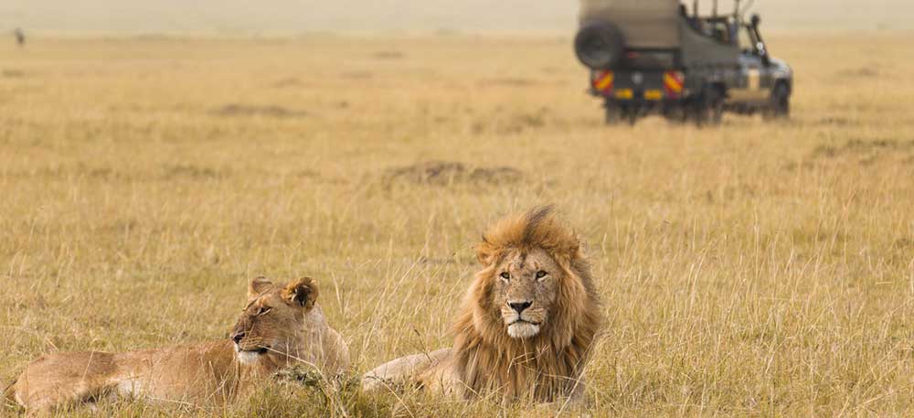 Maasai Mara Game Reserve - Nairobi