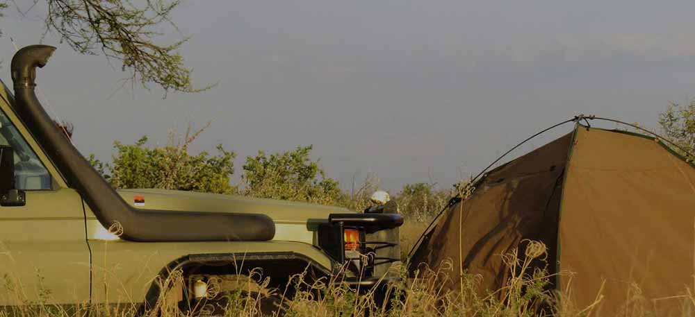 Serengeti National Park-Full Day