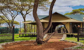 8-Day Northern Circuit Luxury Fly-in Safari