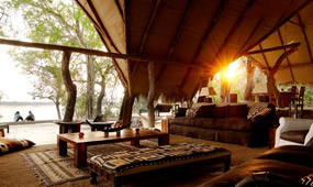 Serengeti (Grumeti)