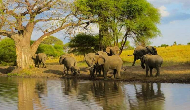 3 Days 2 Nights Discover Amboseli