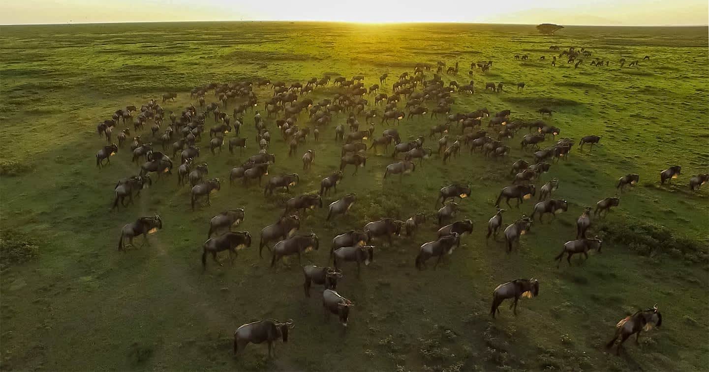Nairobi