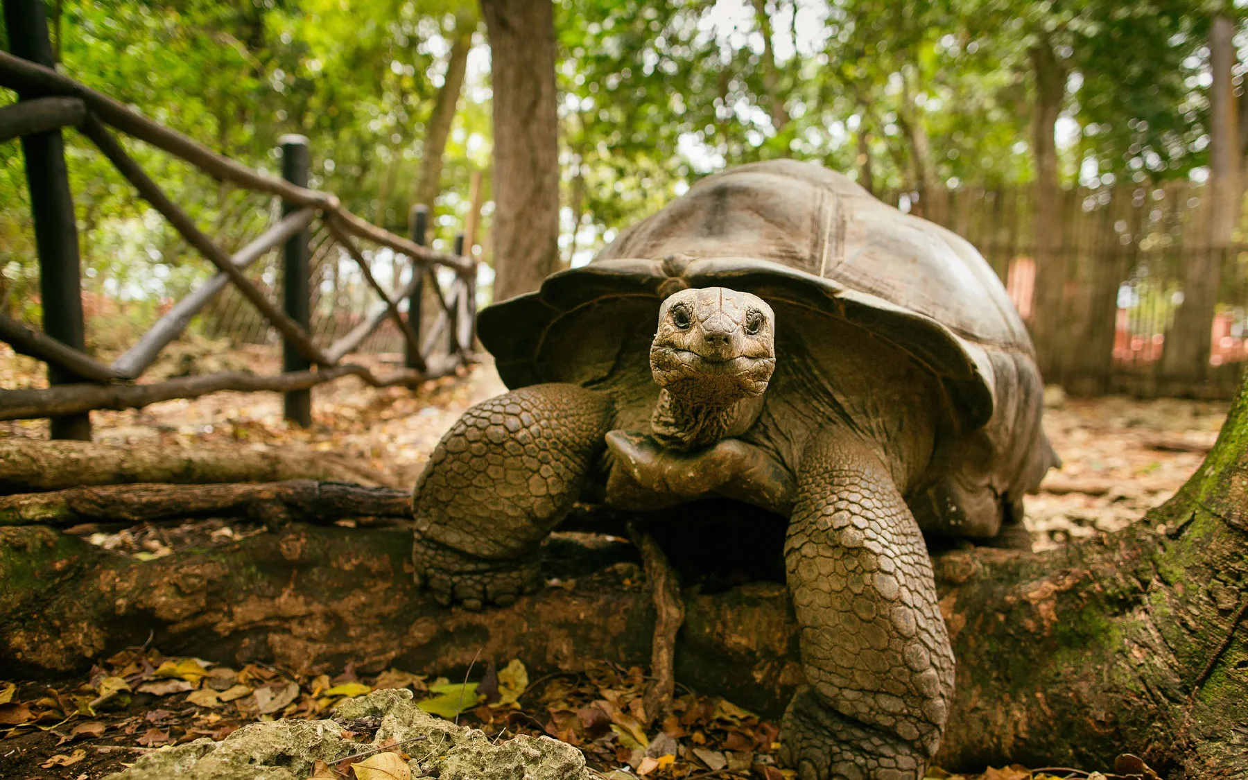 Things to Do in Zanzibar