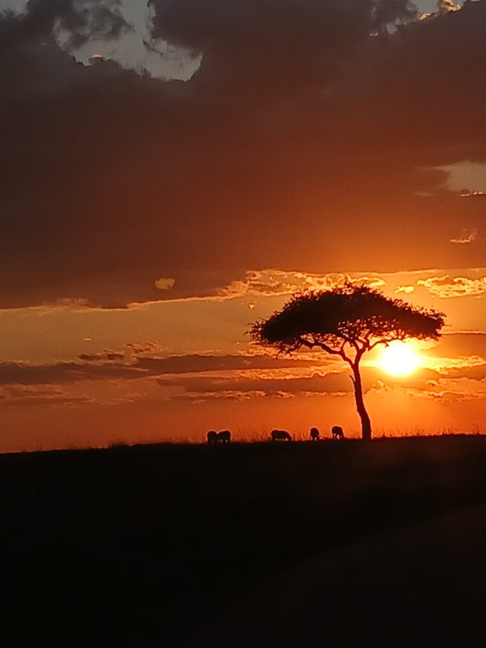 Return to Nairobi