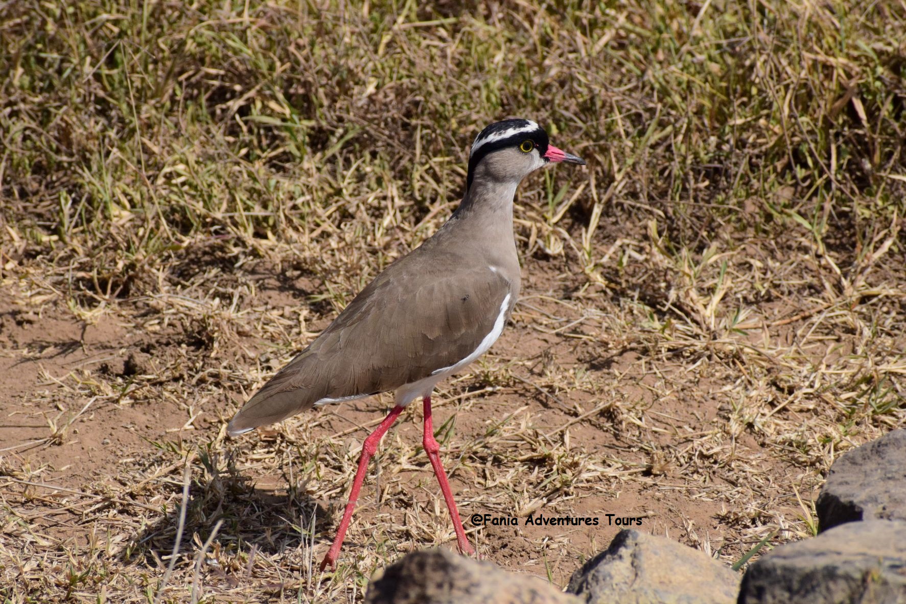 Lake Nakuru National Park