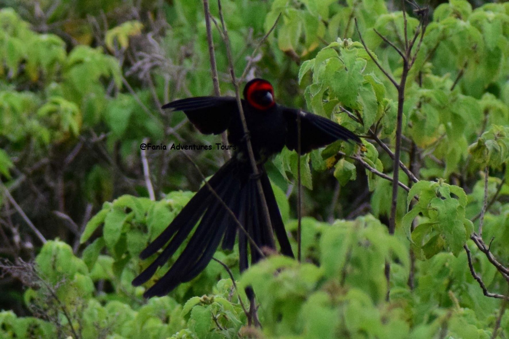 Nairobi National Park & National Museum – Birding in the City