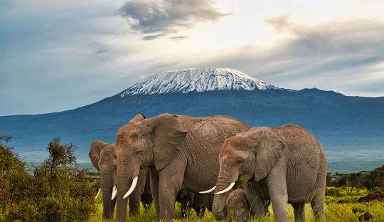 5-days-mid-range-kenya-safari