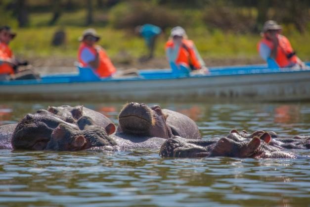 Amboseli-Naivasha-Nakuru Safari 5 Days